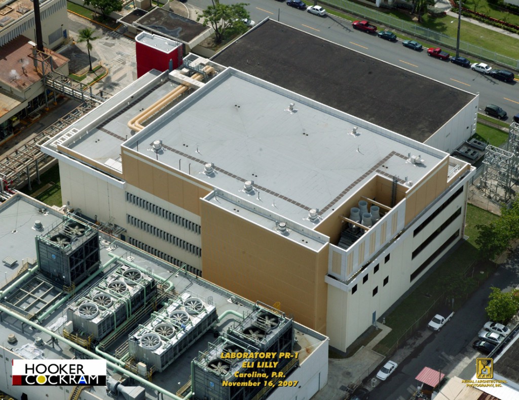 Eli Lilly
